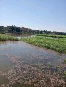 من اثار الفيضان فيه مصر 